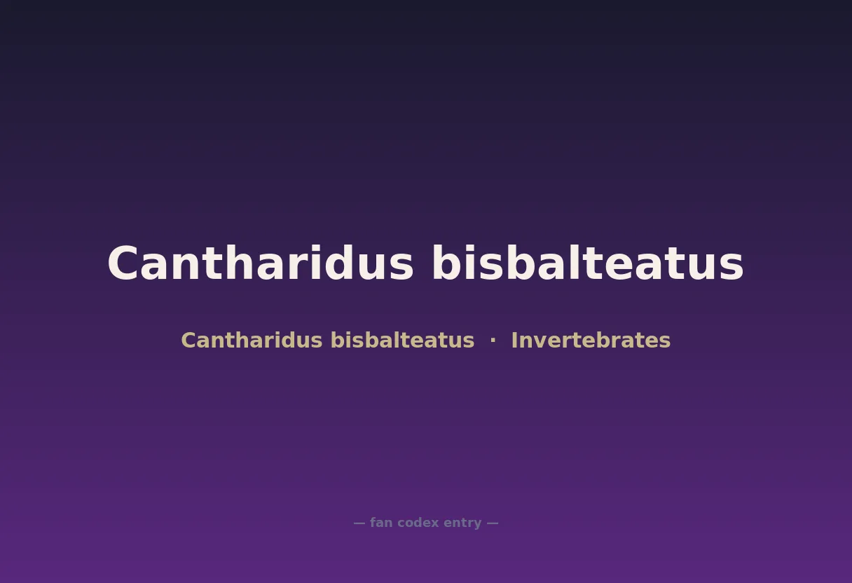 Cantharidus bisbalteatus