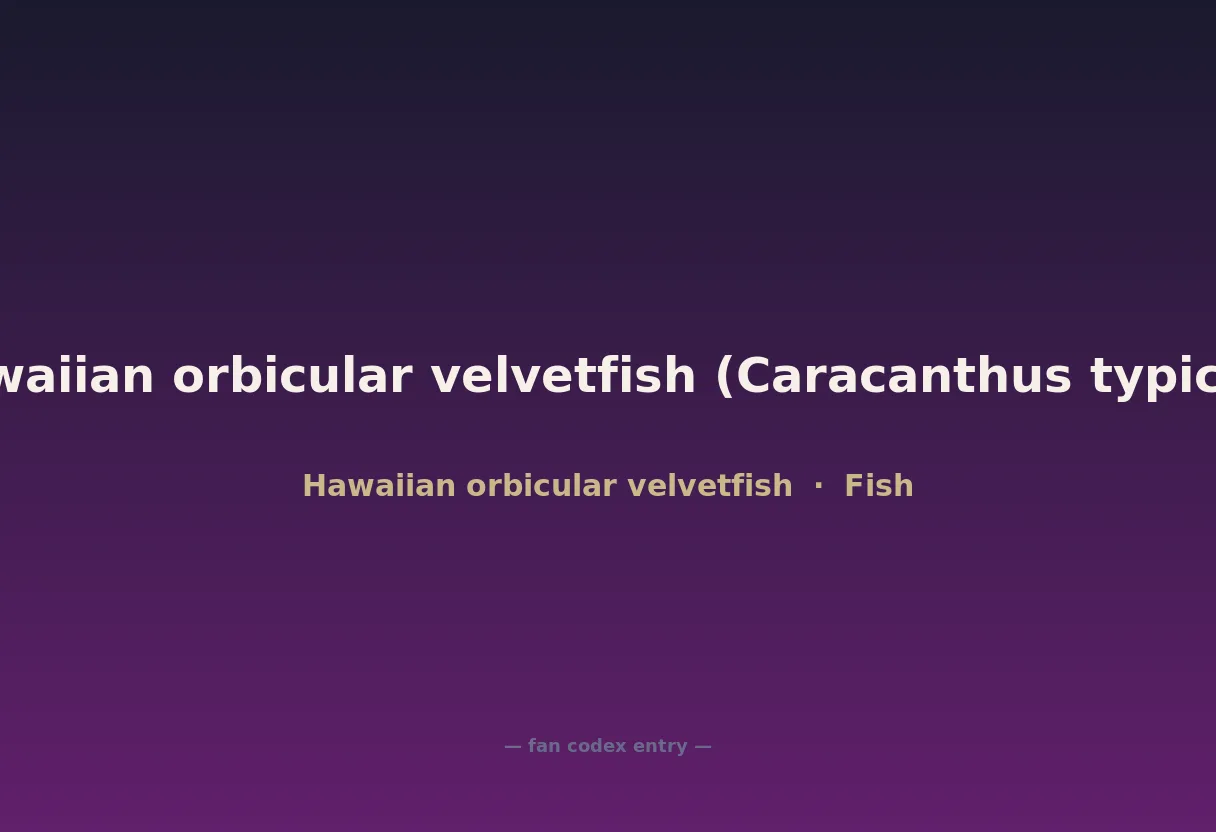 Hawaiian orbicular velvetfish (Caracanthus typicus)