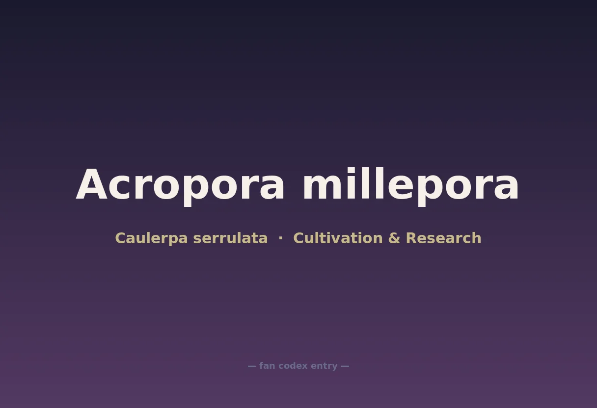 Acropora millepora