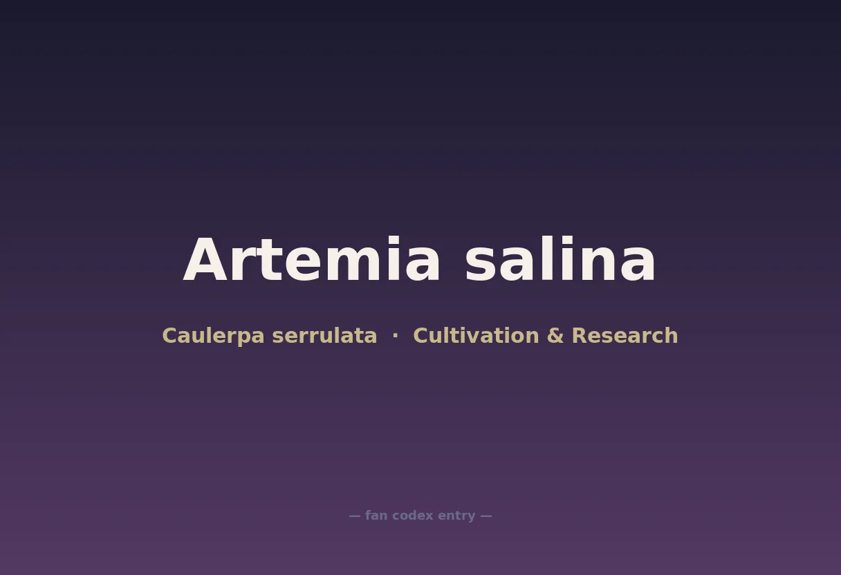 Artemia salina