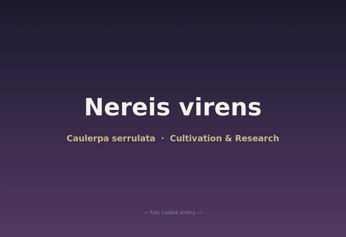 Nereis virens