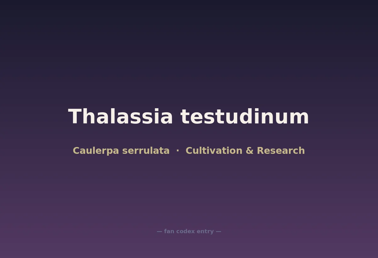 Thalassia testudinum