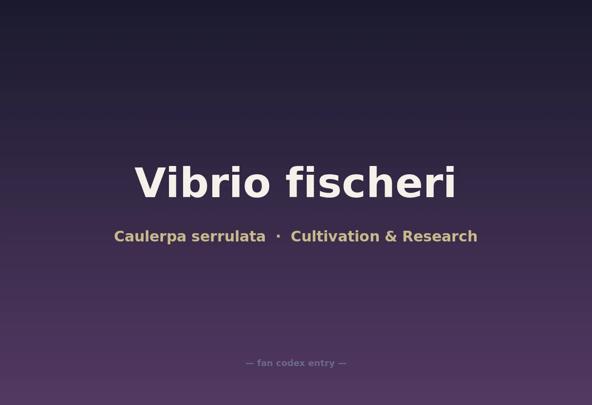 Vibrio fischeri