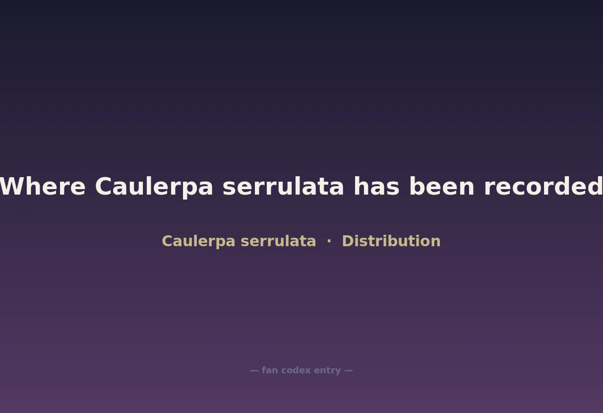 Where Caulerpa serrulata has been recorded