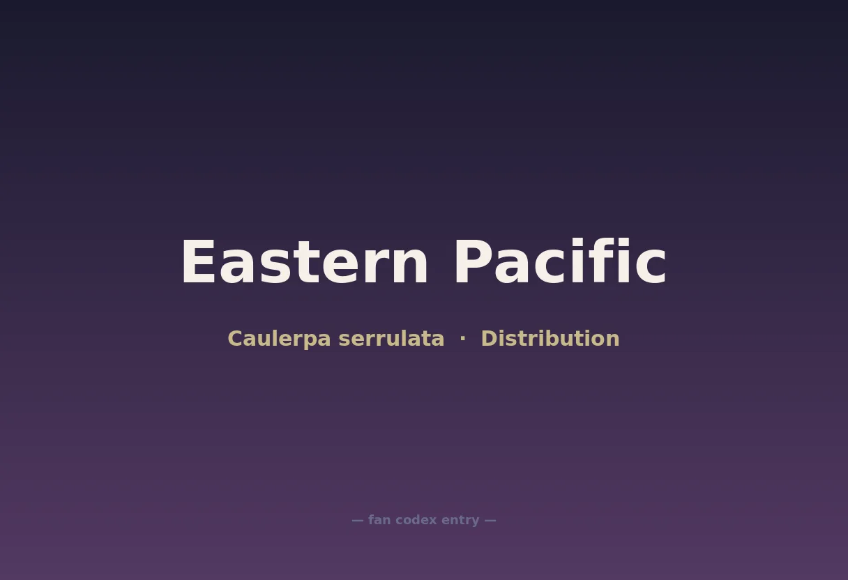 Eastern Pacific