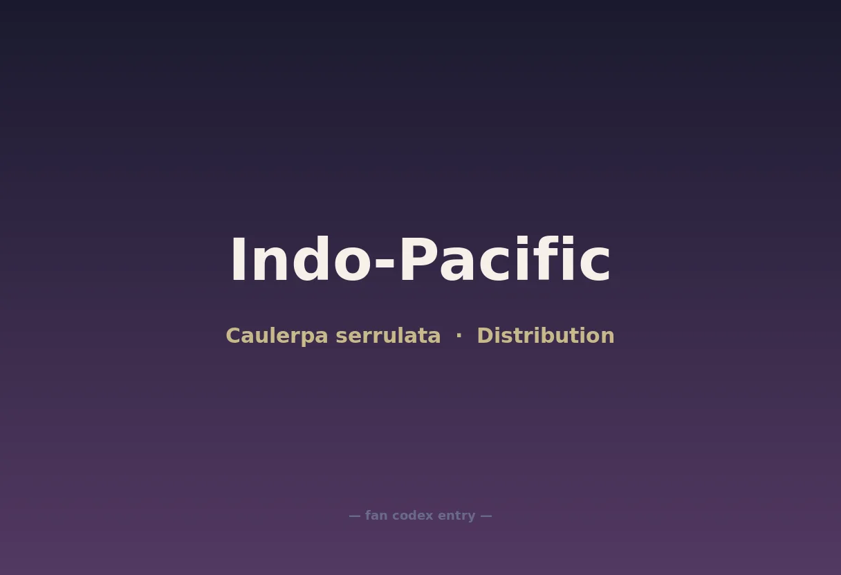 Indo-Pacific