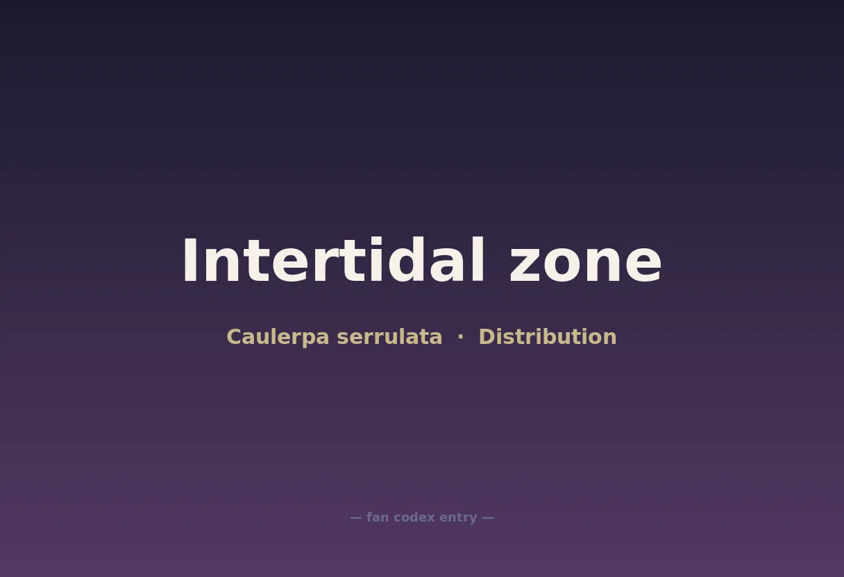 Intertidal zone