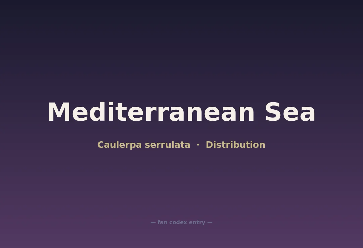 Mediterranean Sea