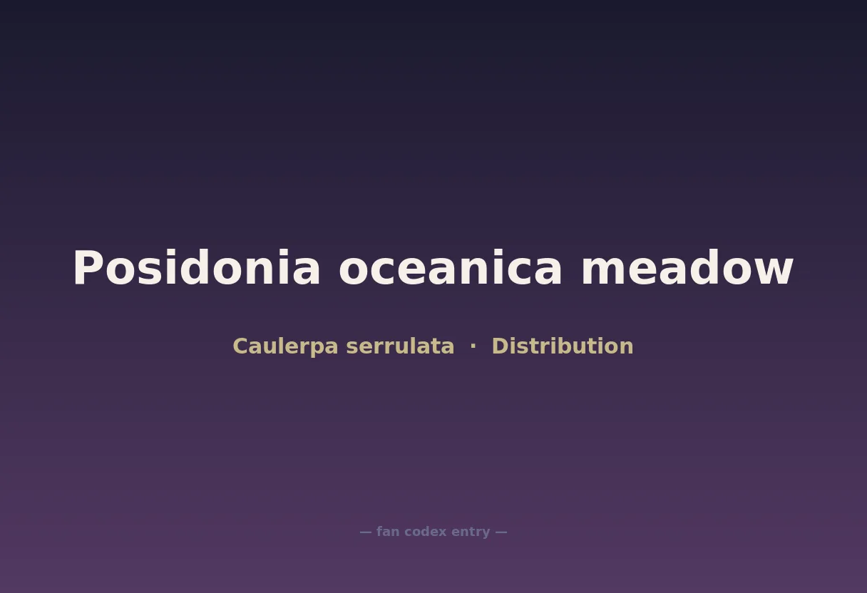 Posidonia oceanica meadow