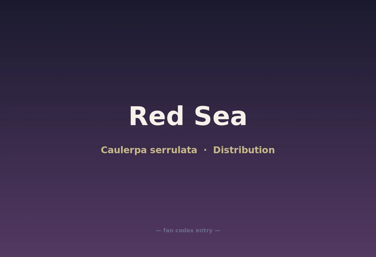 Red Sea