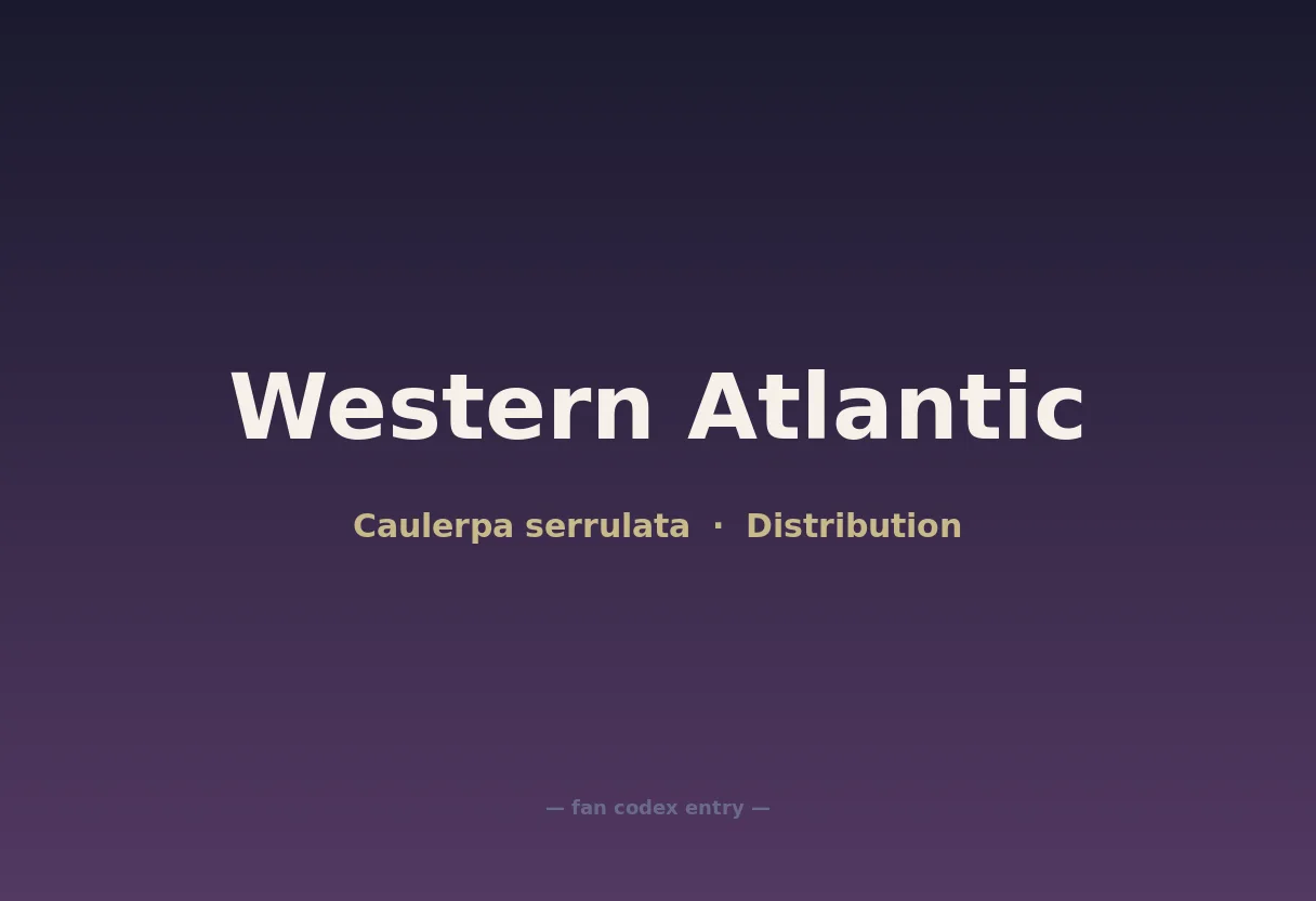 Western Atlantic