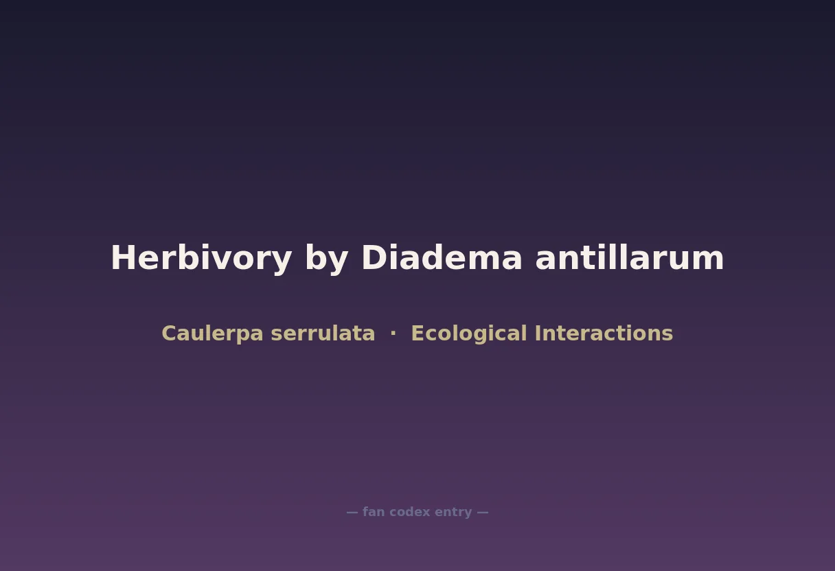 Herbivory by Diadema antillarum