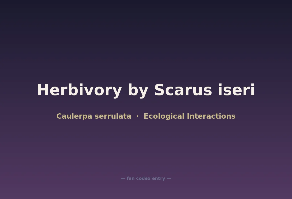 Herbivory by Scarus iseri