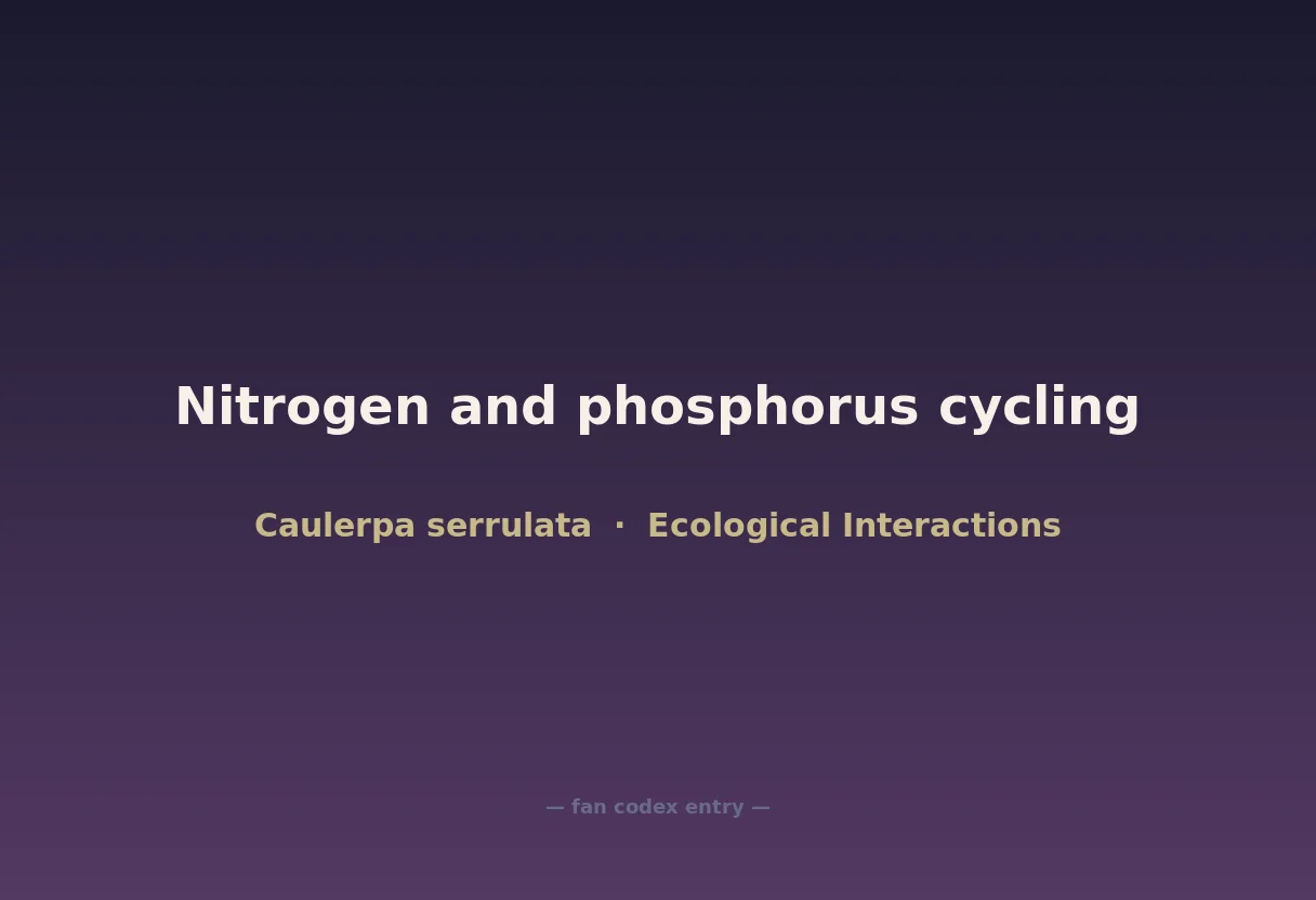 Nitrogen and phosphorus cycling
