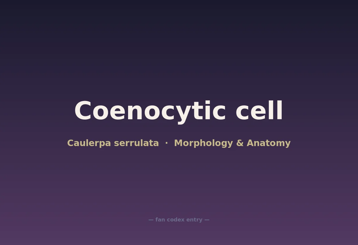 Coenocytic cell