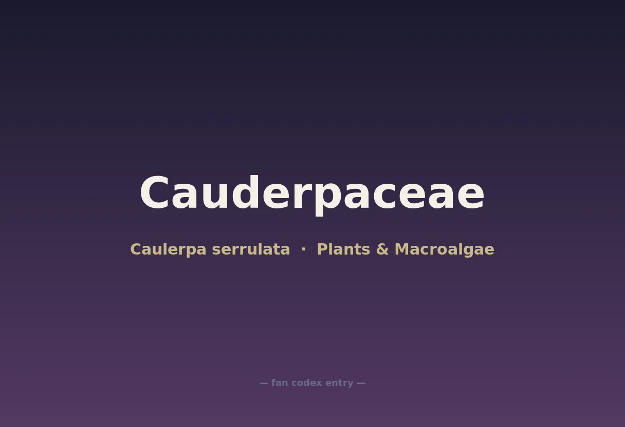 Cauderpaceae