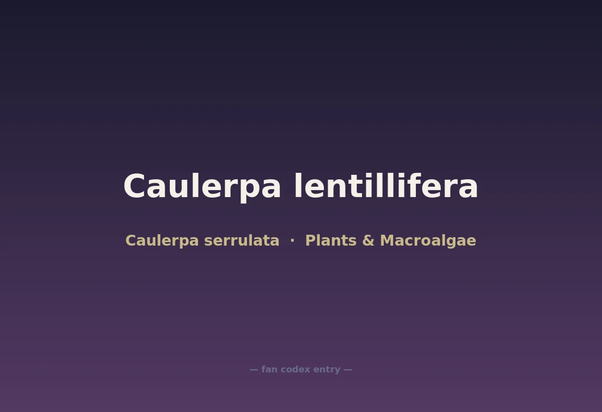 Caulerpa lentillifera