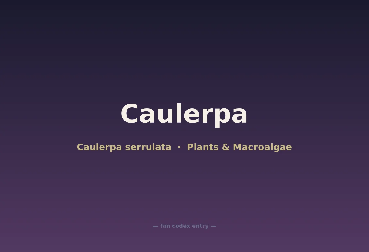 Caulerpa