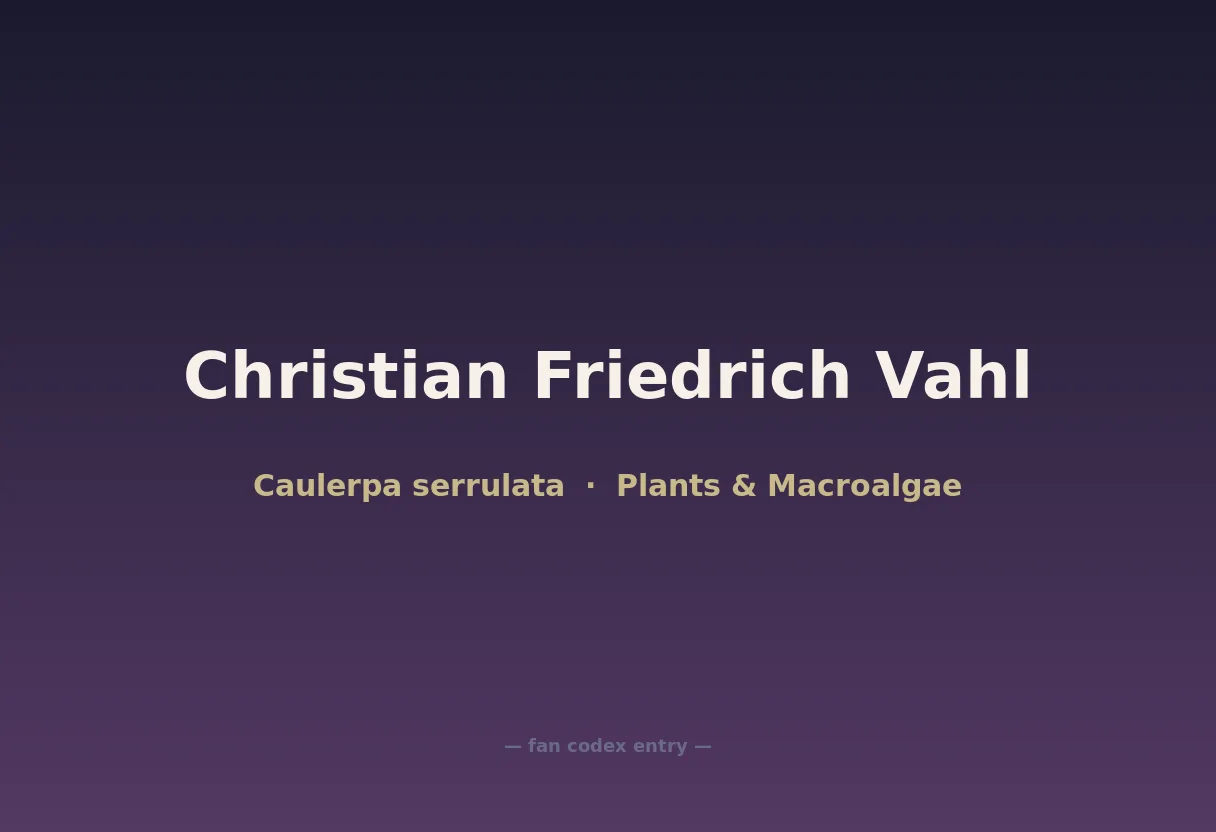 Christian Friedrich Vahl