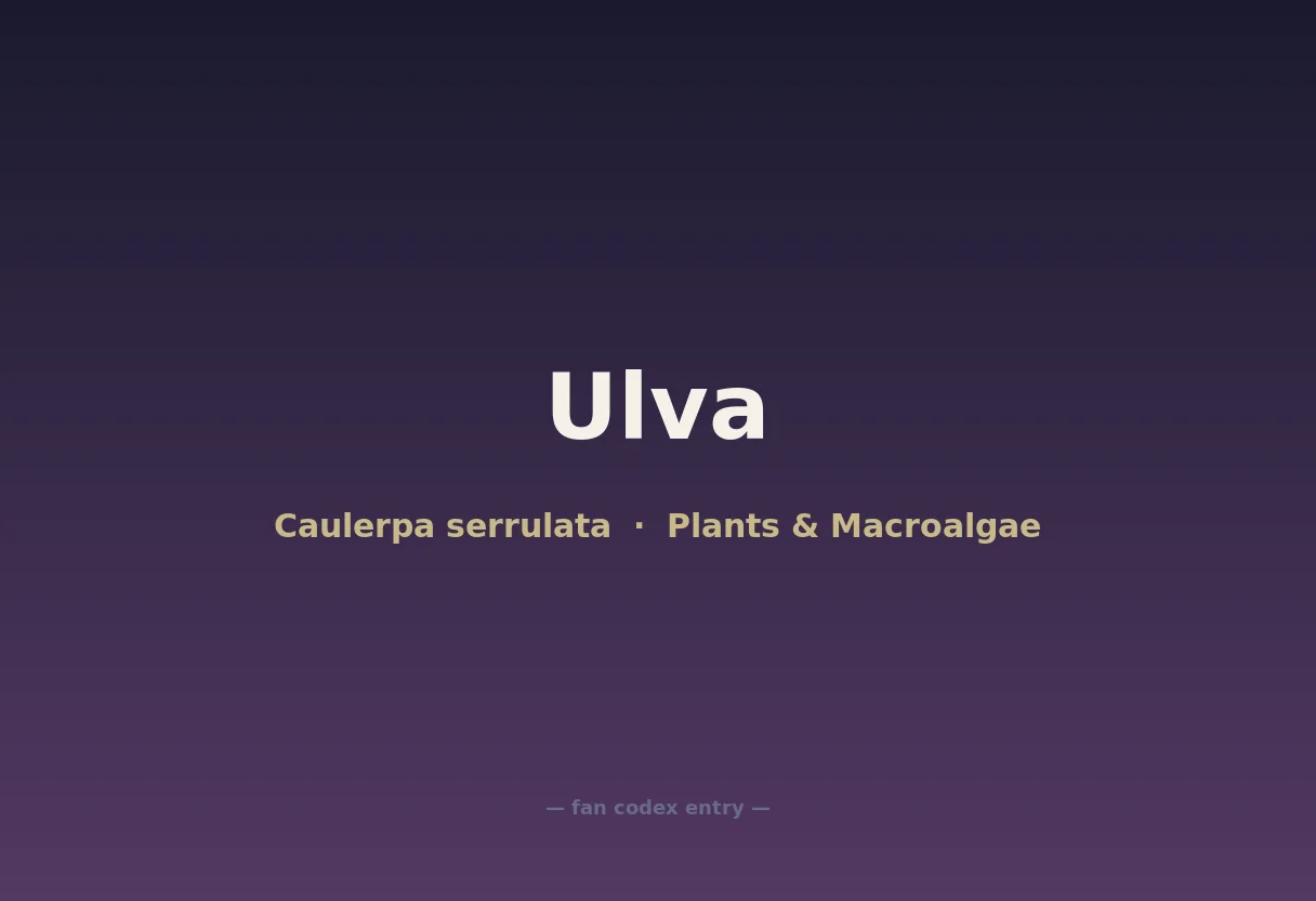 Ulva