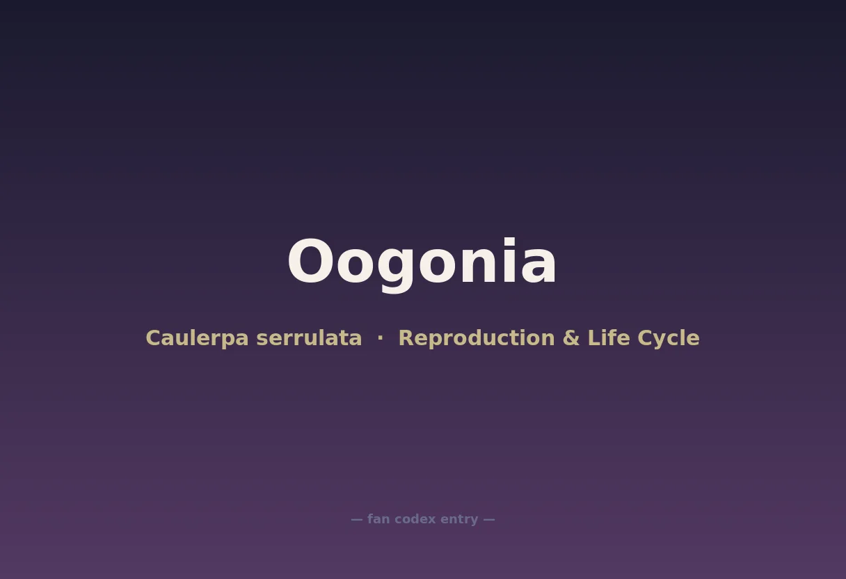 Oogonia
