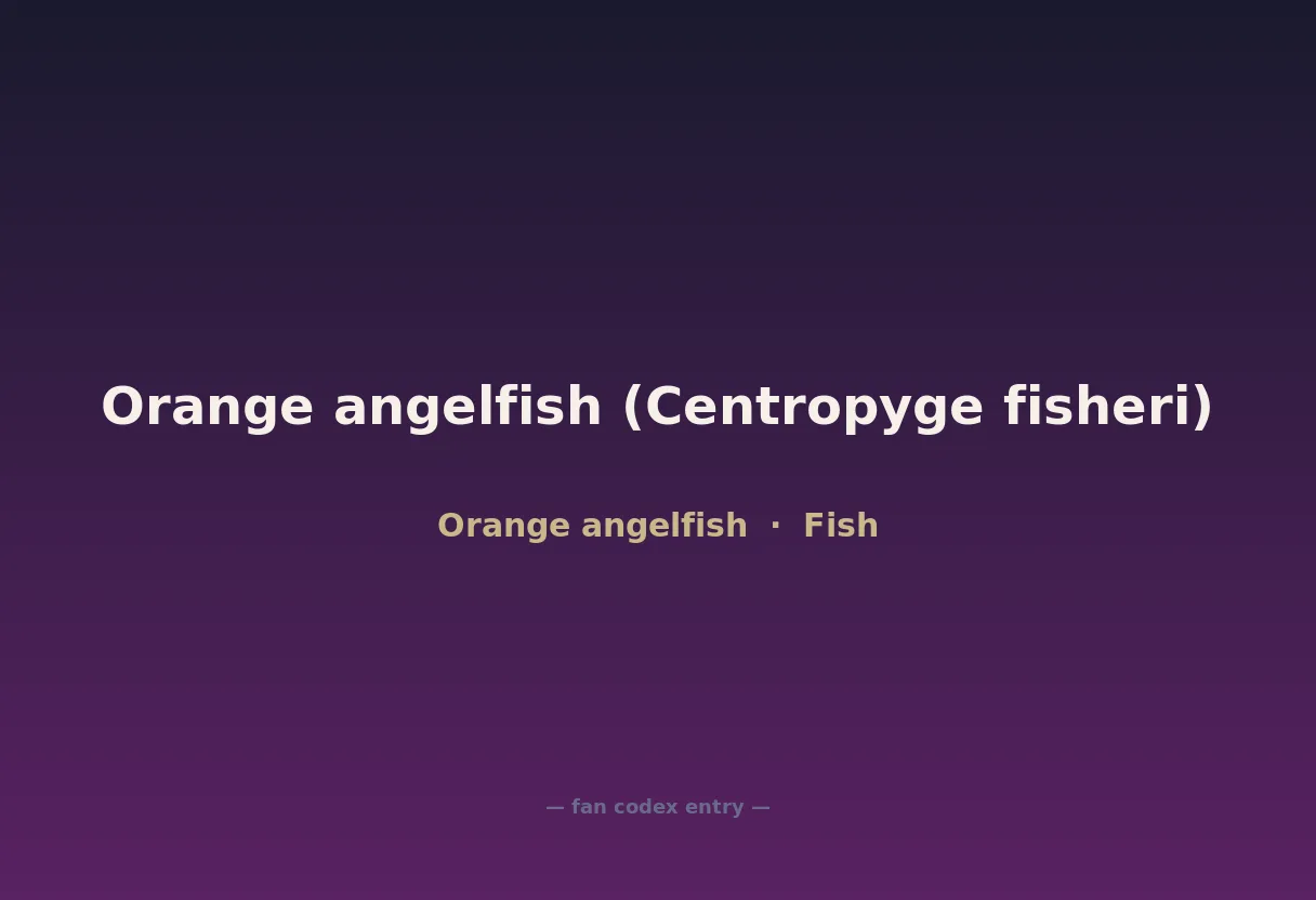 Orange angelfish (Centropyge fisheri)