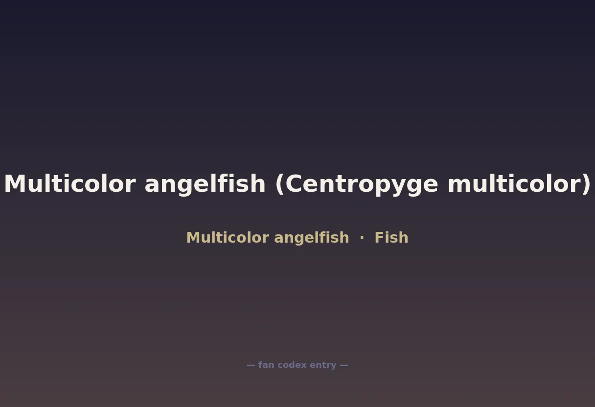 Multicolor angelfish (Centropyge multicolor)