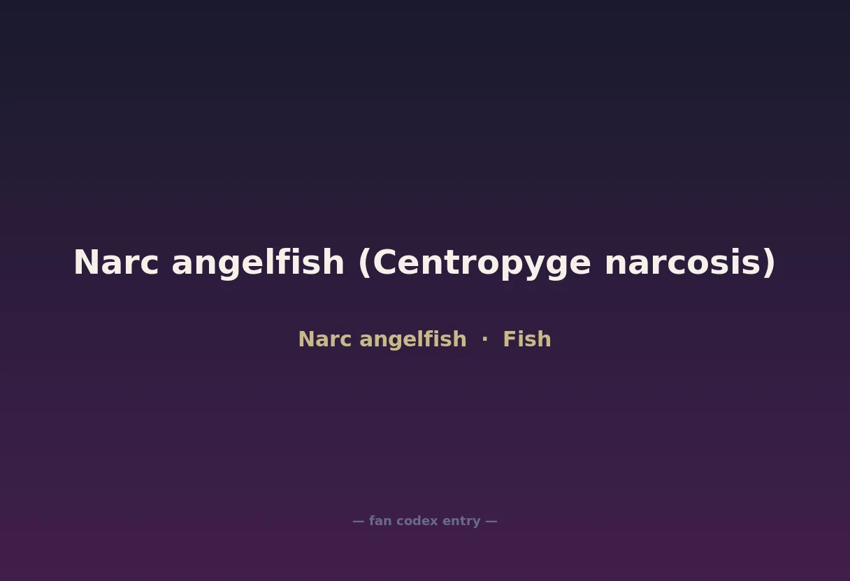 Narc angelfish (Centropyge narcosis)