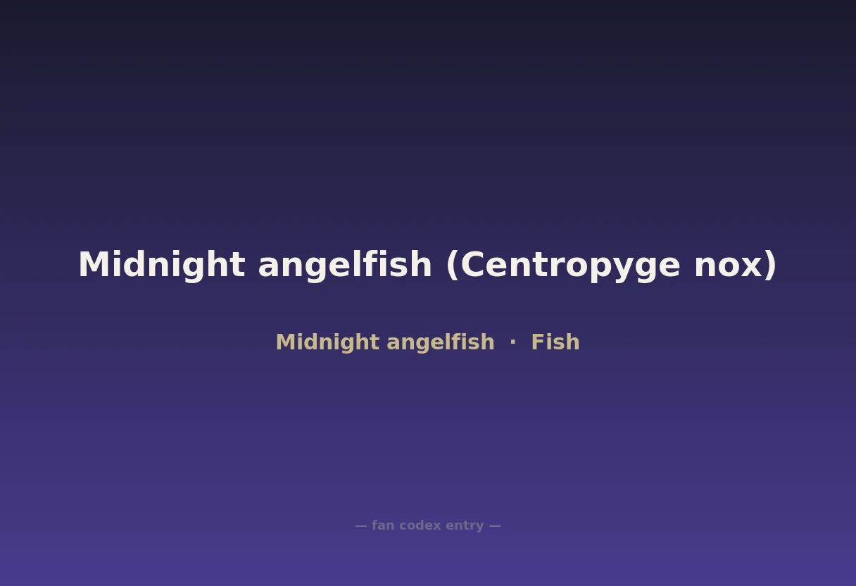 Midnight angelfish (Centropyge nox)