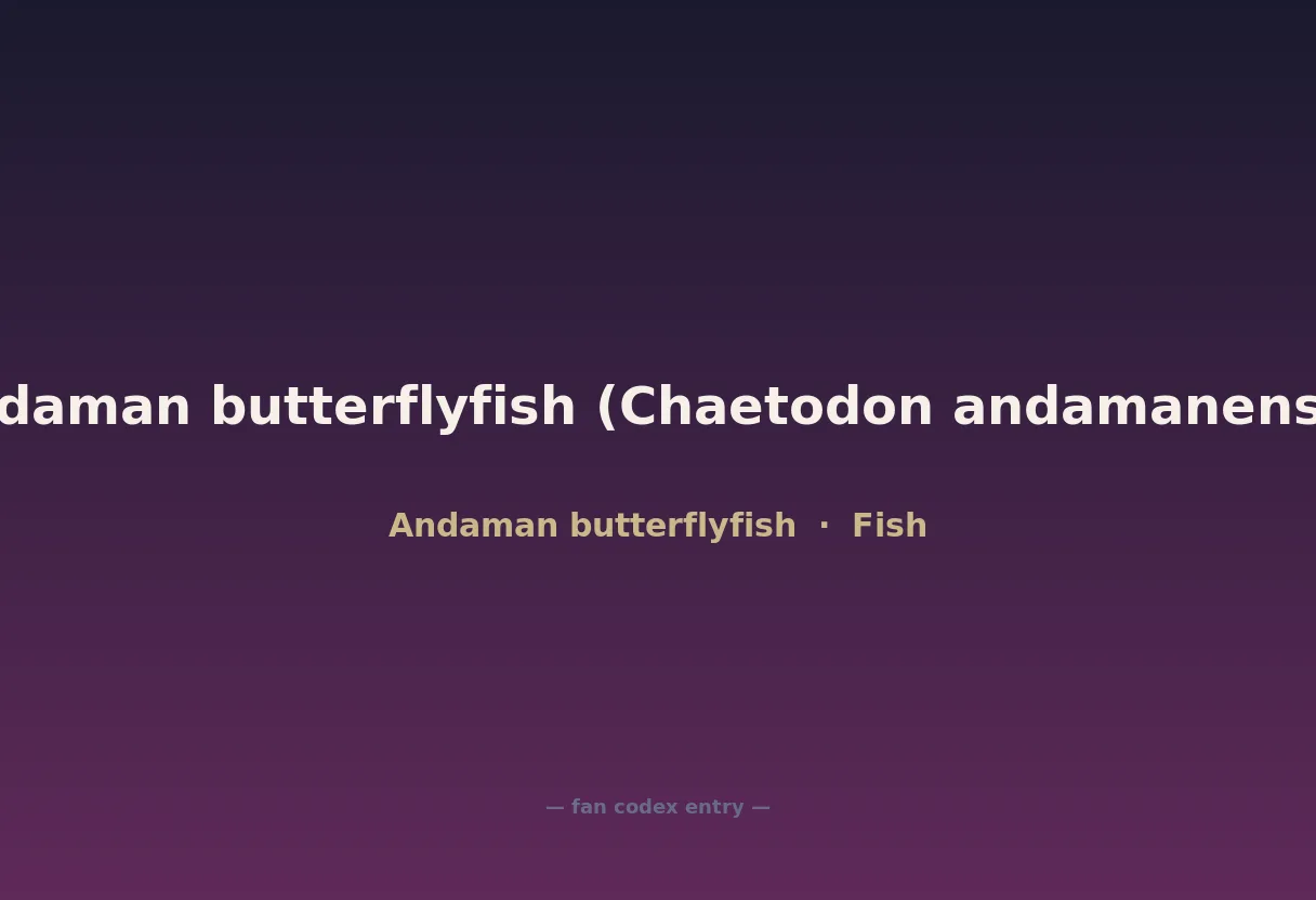 Andaman butterflyfish (Chaetodon andamanensis)