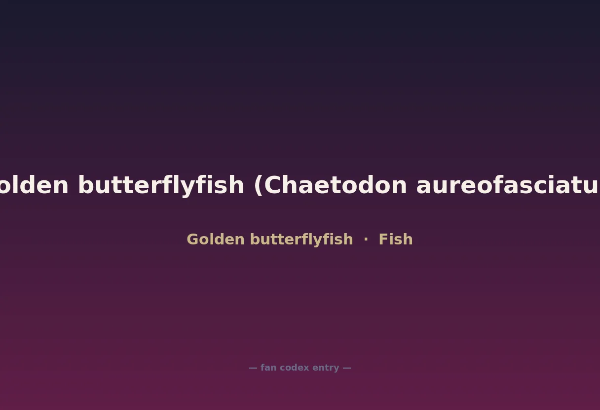 Golden butterflyfish (Chaetodon aureofasciatus)