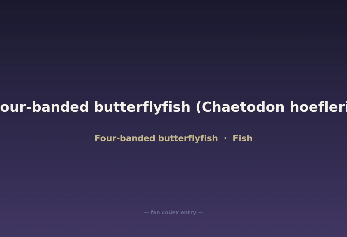 Four-banded butterflyfish (Chaetodon hoefleri)