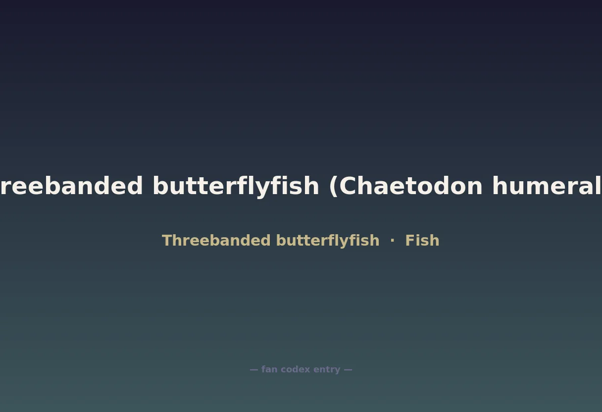Threebanded butterflyfish (Chaetodon humeralis)