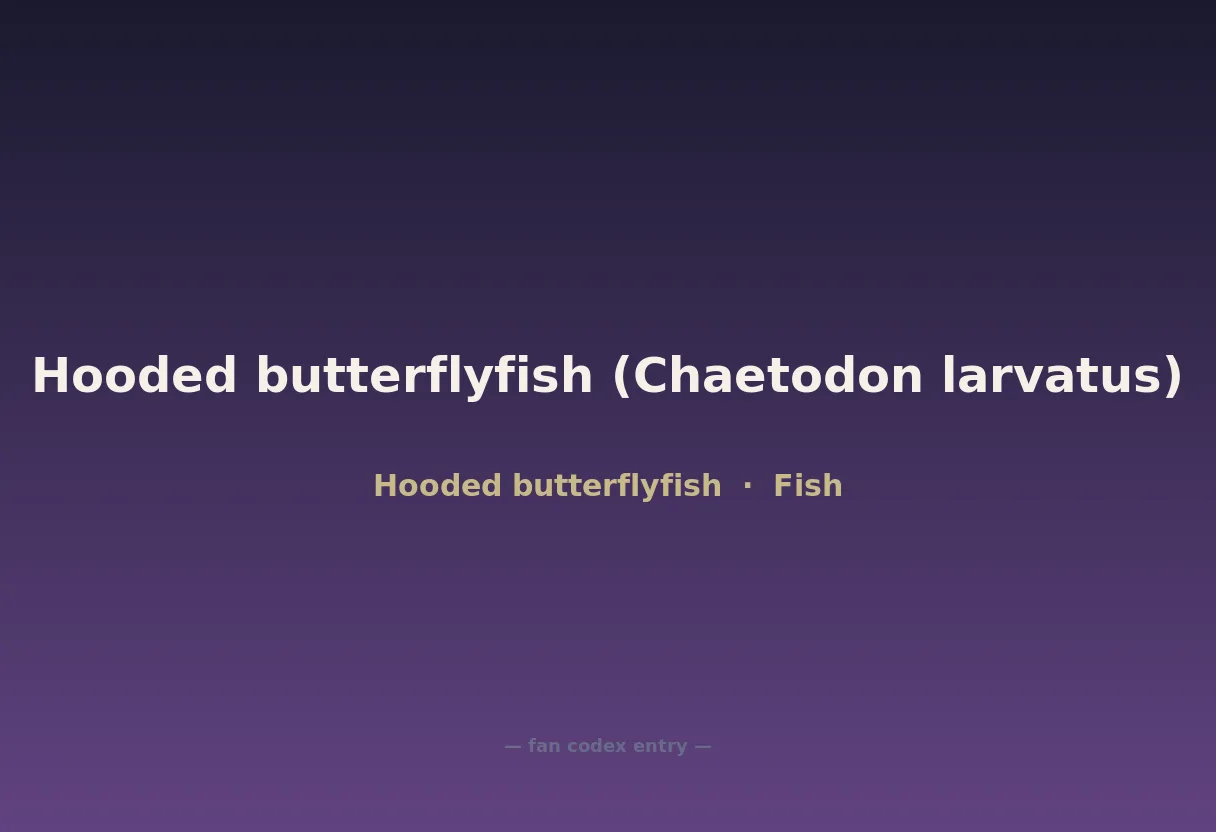 Hooded butterflyfish (Chaetodon larvatus)