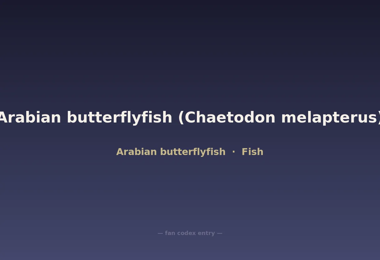 Arabian butterflyfish (Chaetodon melapterus)
