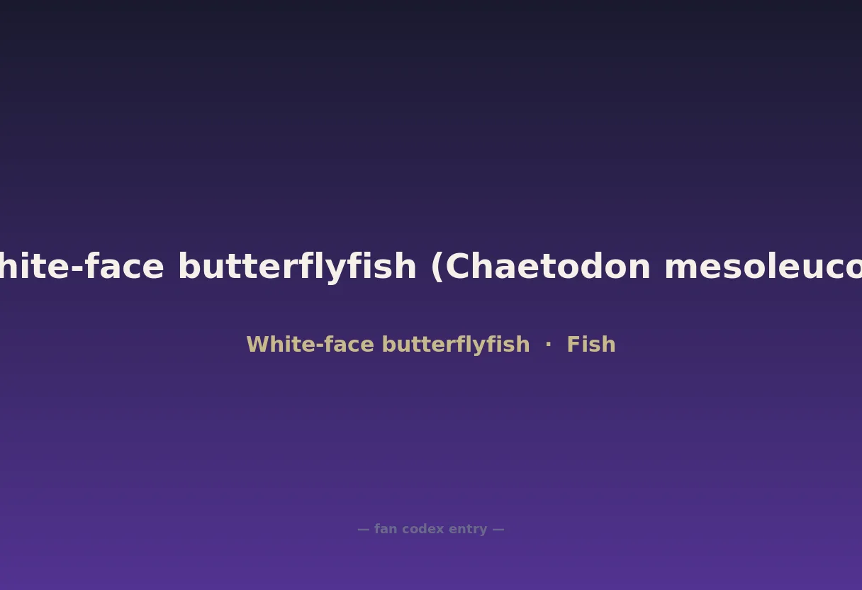 White-face butterflyfish (Chaetodon mesoleucos)