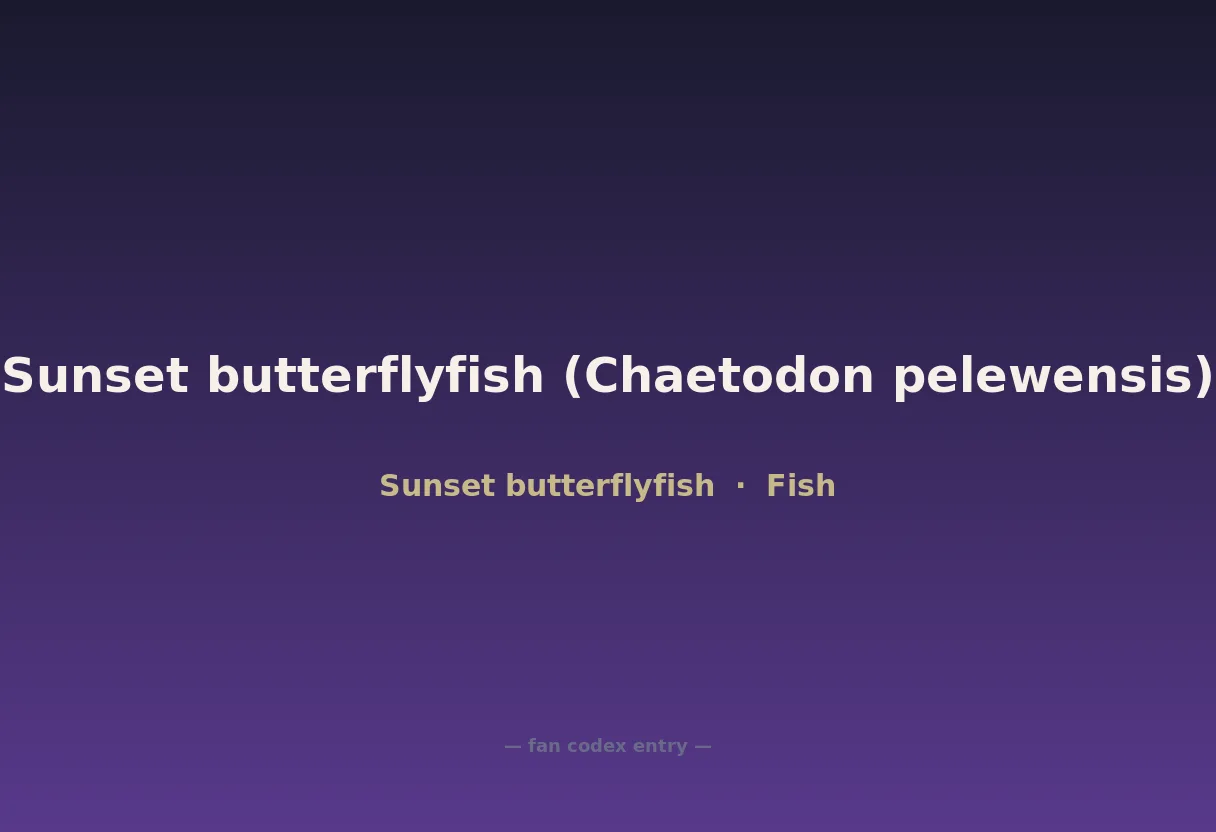 Sunset butterflyfish (Chaetodon pelewensis)