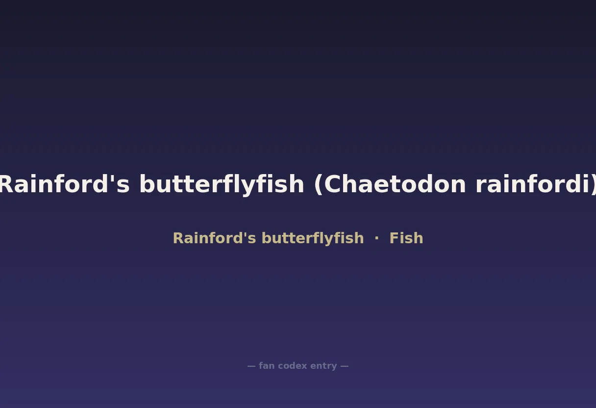 Rainford's butterflyfish (Chaetodon rainfordi)