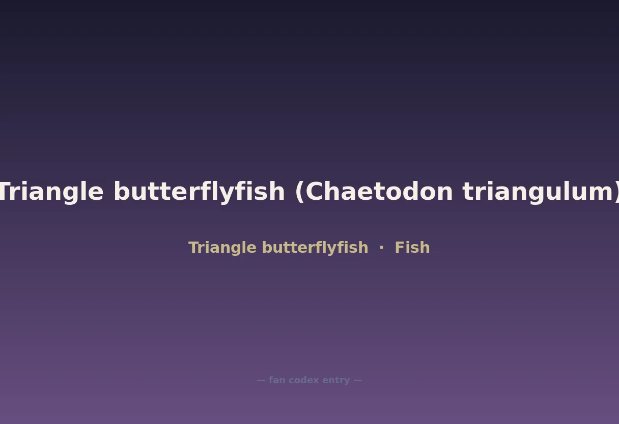 Triangle butterflyfish (Chaetodon triangulum)