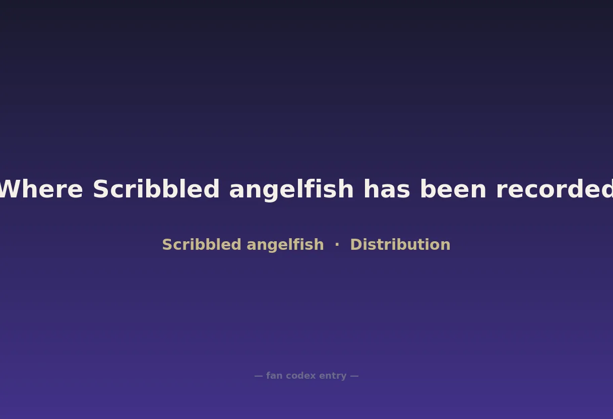 Where Scribbled angelfish has been recorded