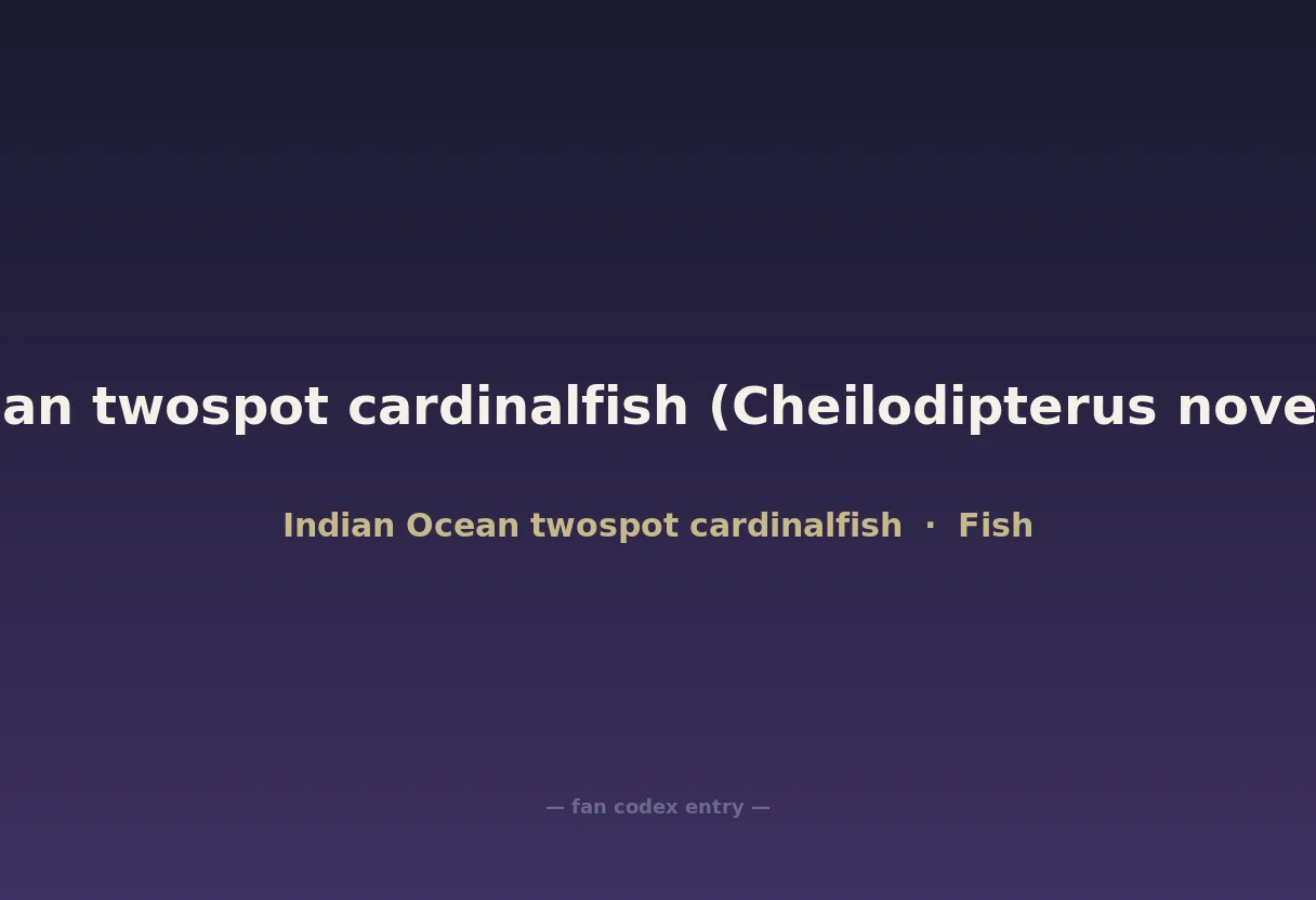 Indian Ocean twospot cardinalfish (Cheilodipterus novemstriatus)