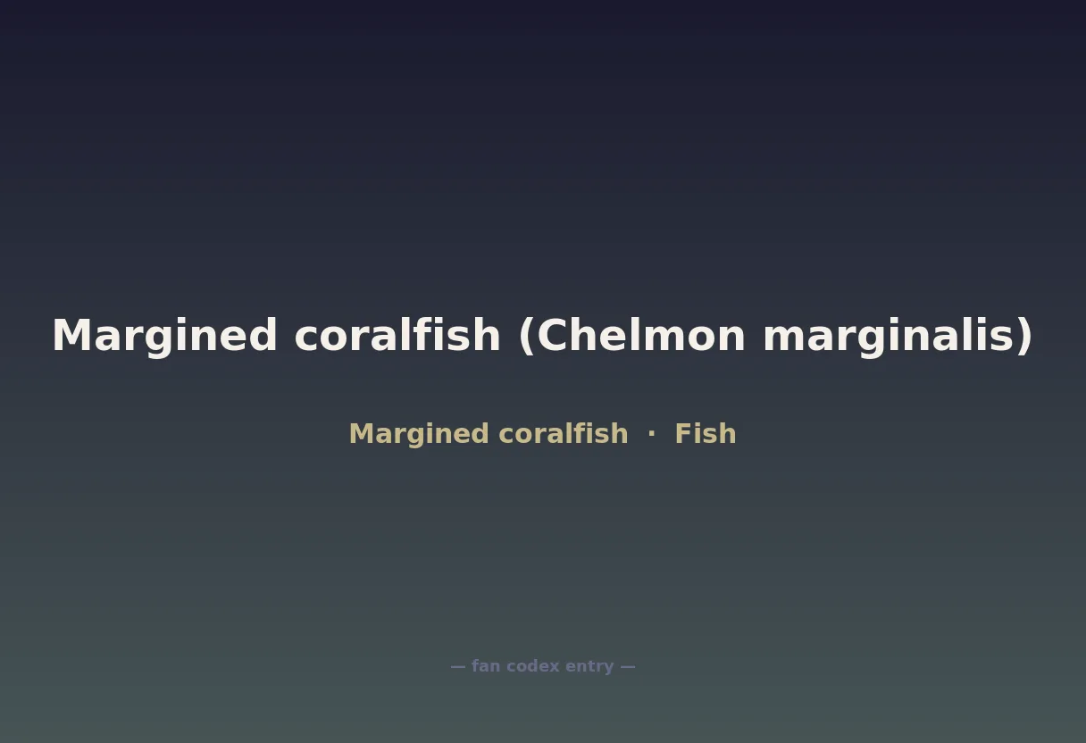 Margined coralfish (Chelmon marginalis)