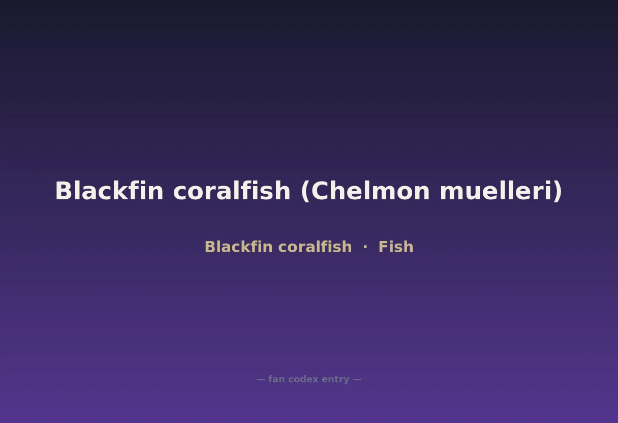 Blackfin coralfish (Chelmon muelleri)
