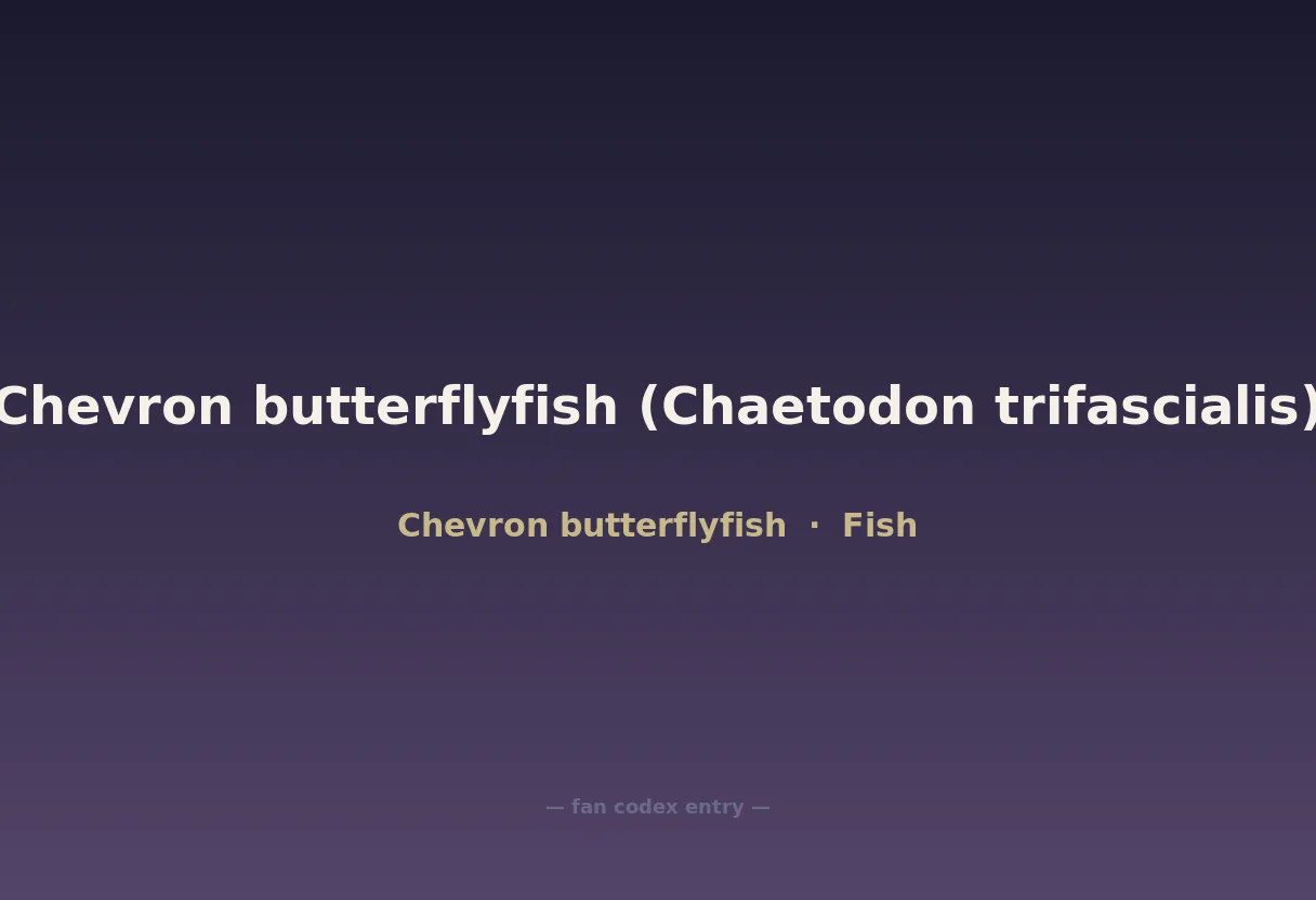 Chevron butterflyfish (Chaetodon trifascialis)