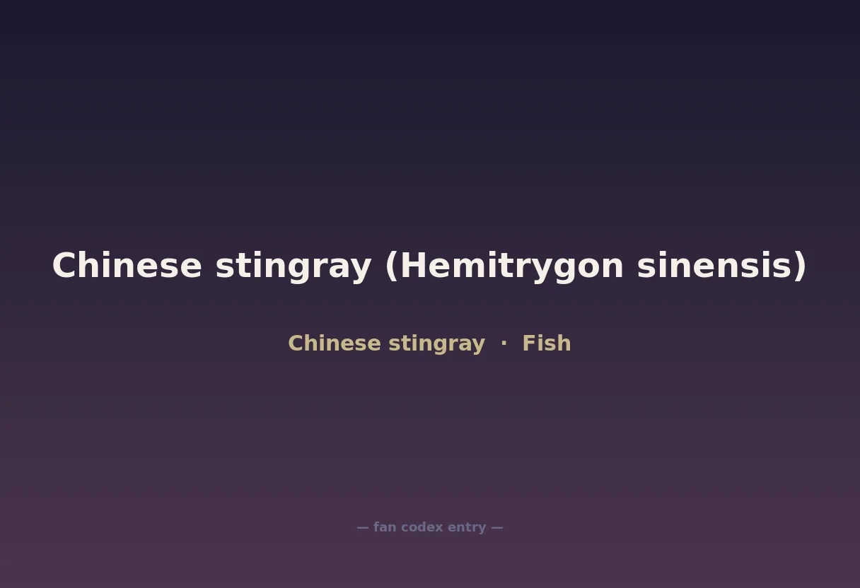 Chinese stingray (Hemitrygon sinensis)