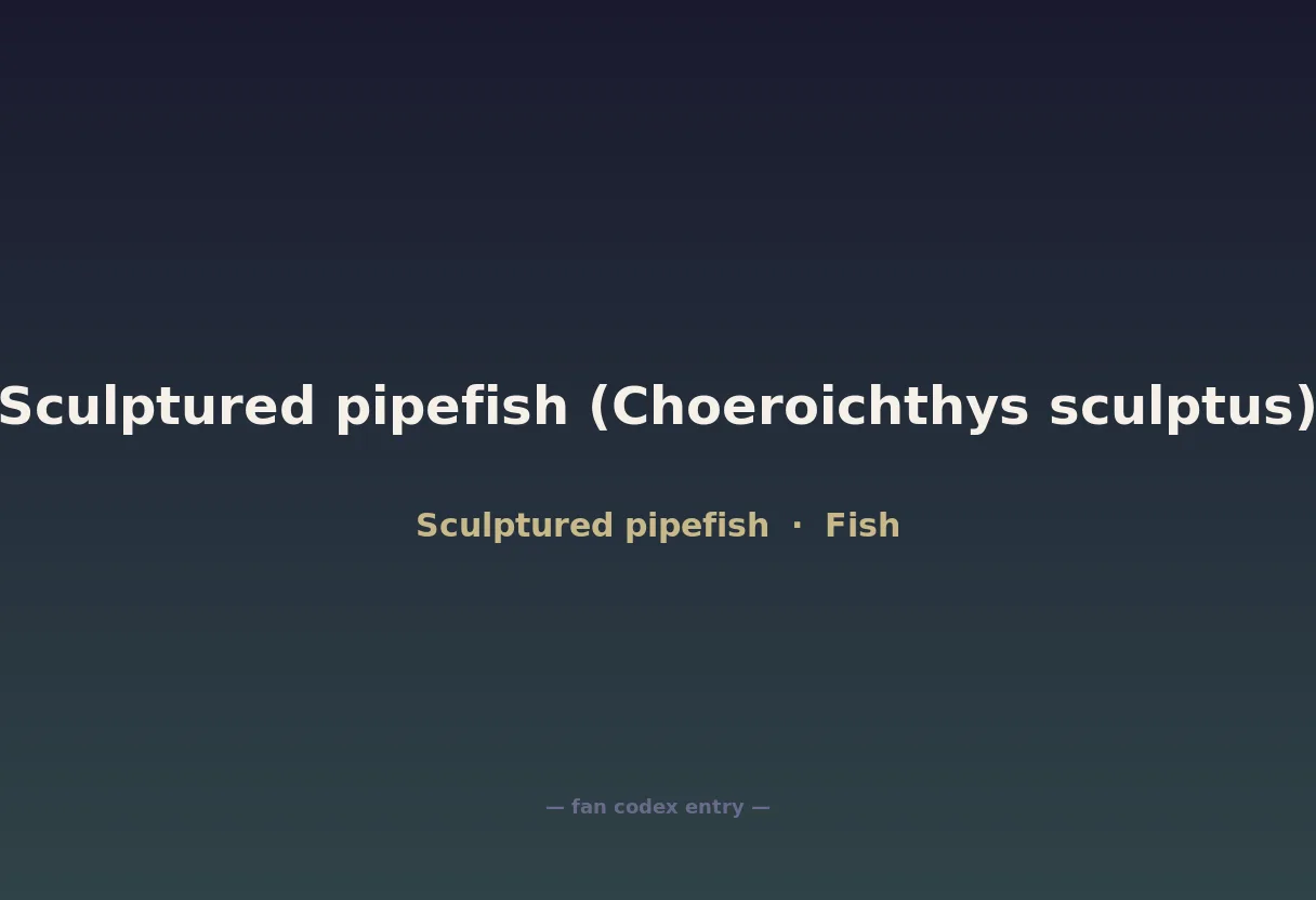 Sculptured pipefish (Choeroichthys sculptus)
