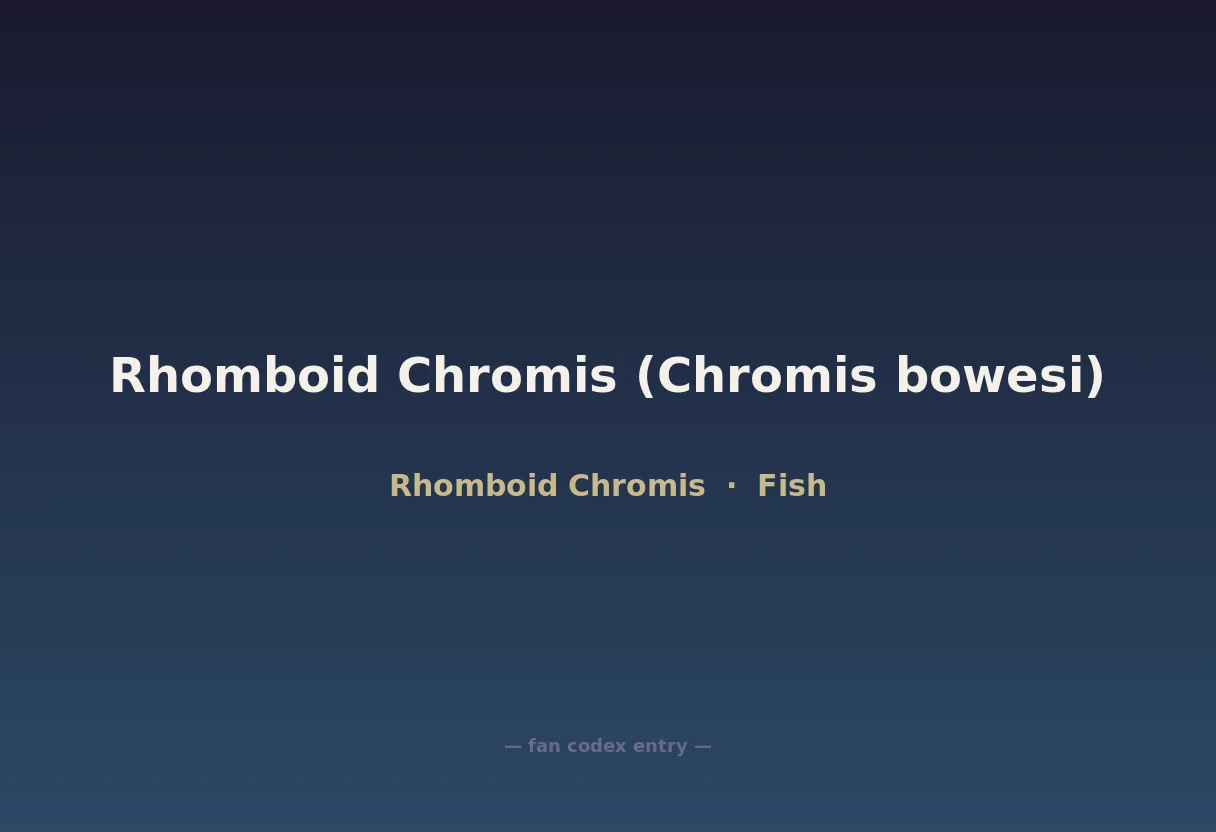 Rhomboid Chromis (Chromis bowesi)
