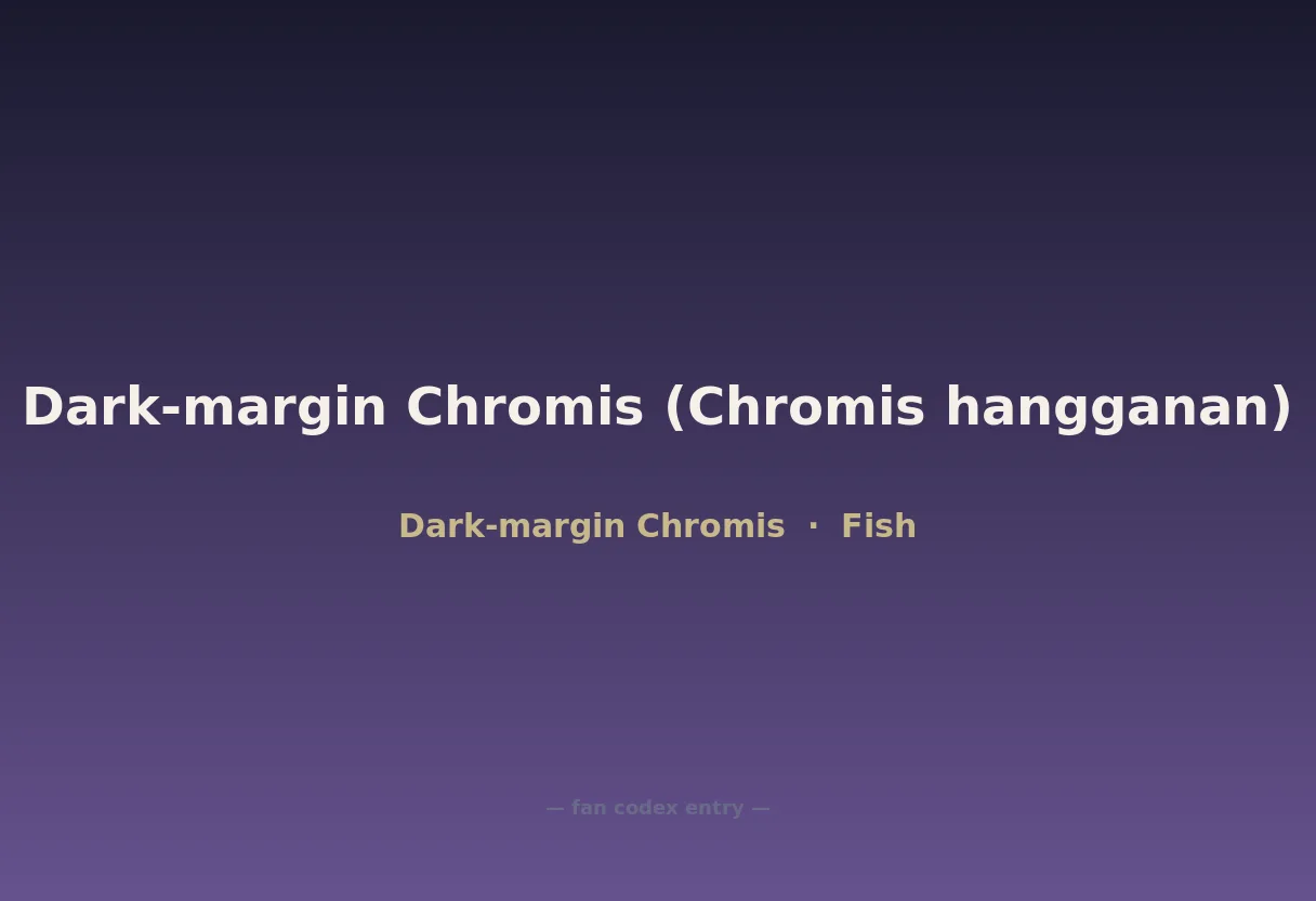Dark-margin Chromis (Chromis hangganan)