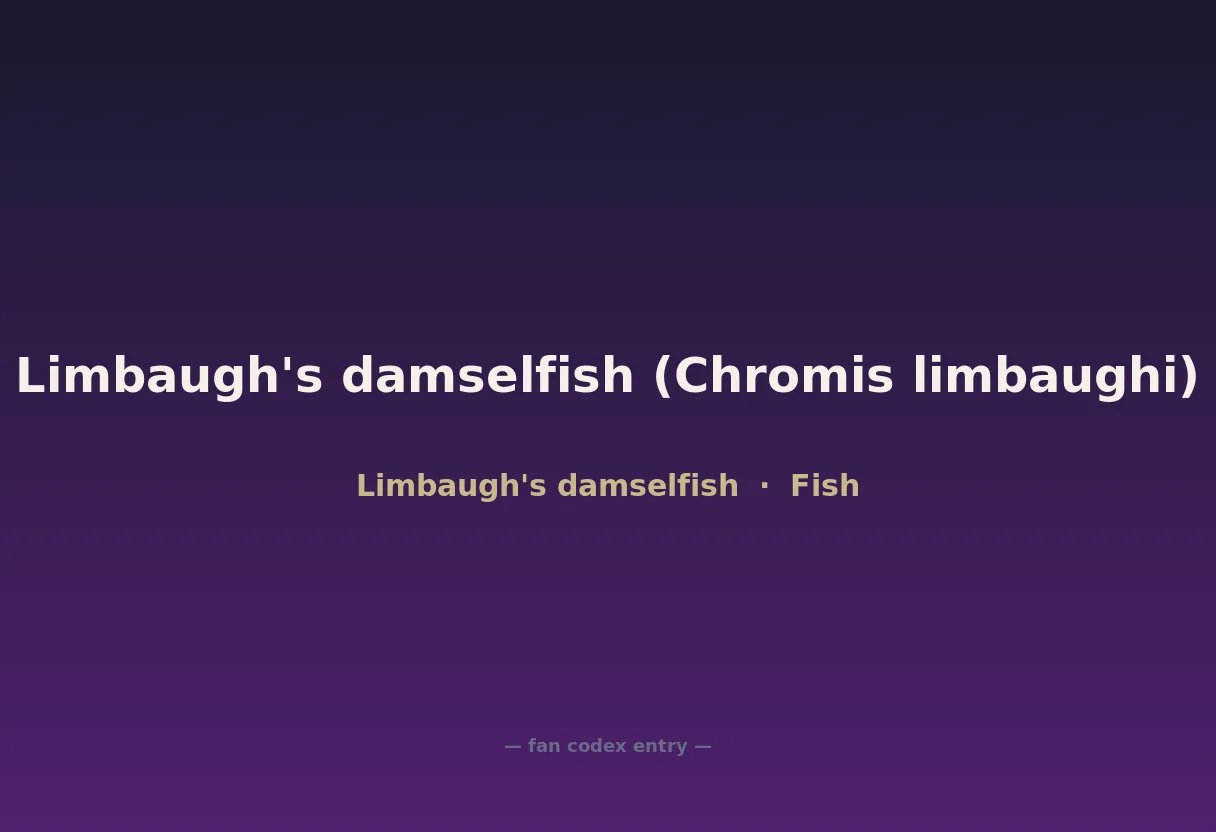 Limbaugh's damselfish (Chromis limbaughi)