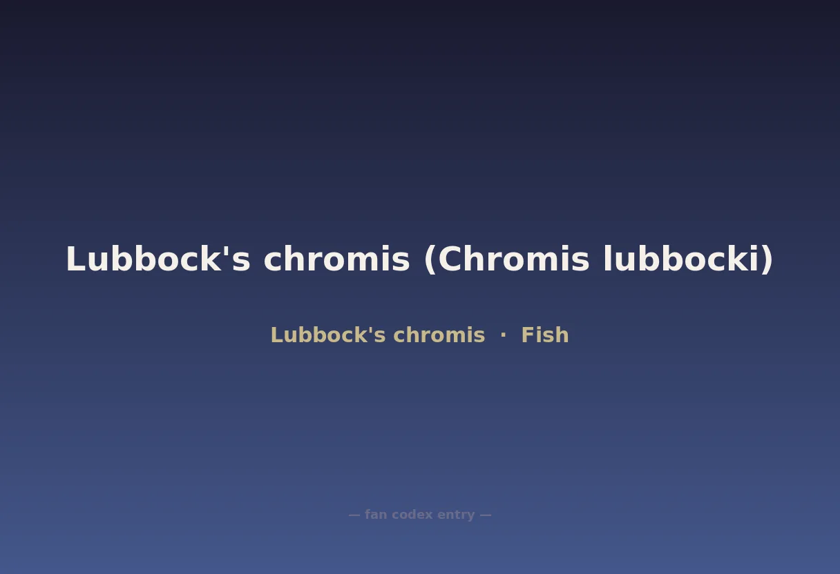 Lubbock's chromis (Chromis lubbocki)